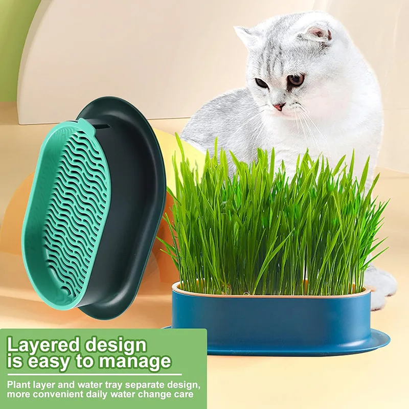 Cat Snack Cat Mint Planting Hydroponic Box Cat Grass Pot Color Contrast Hydroponic Cat Grass Box Set Catgrass Planting Bowl