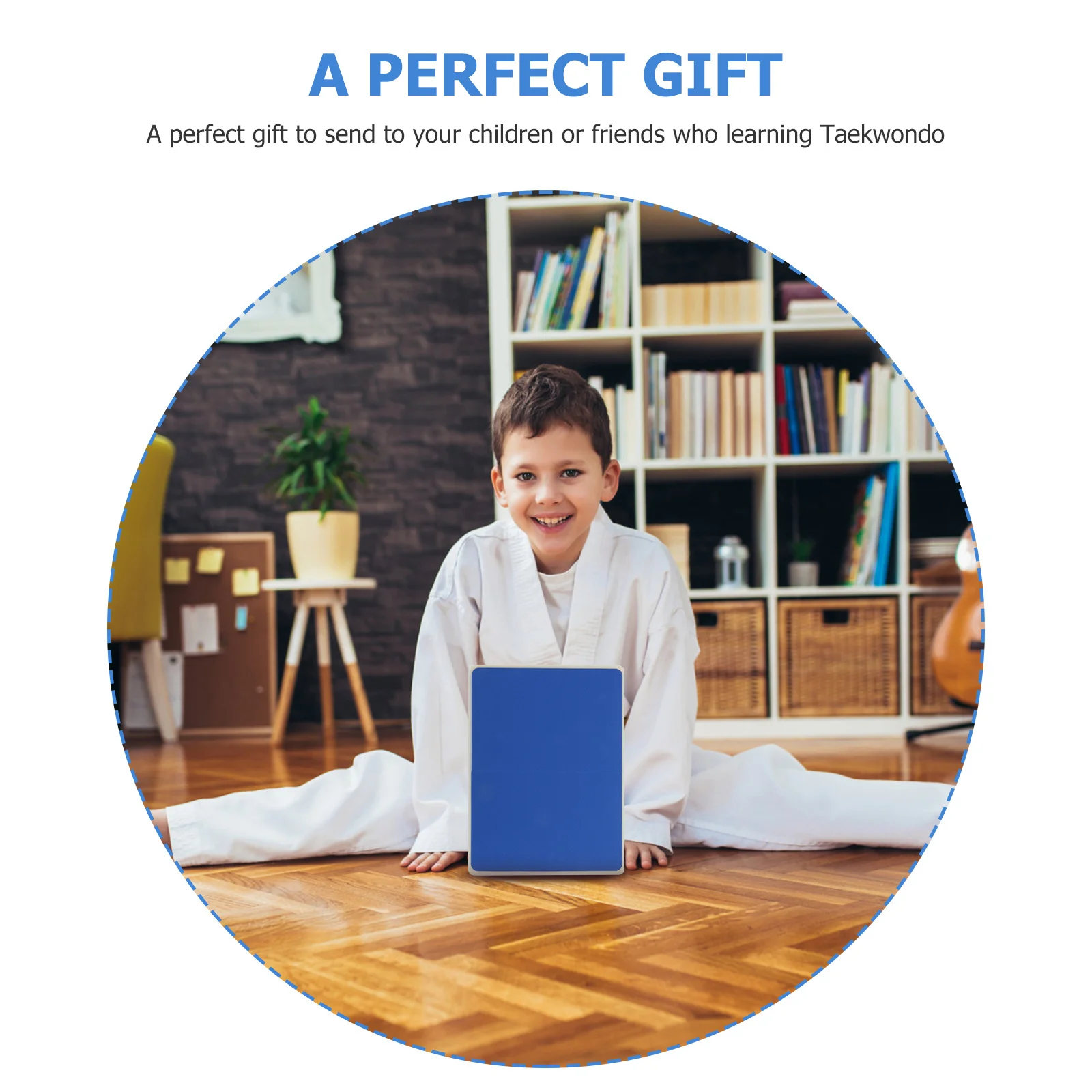 

Professional Taekwondo Practice Board Durable ABS Eva Material Thickened Design Antiexplosive Portable Kids Training Accessory