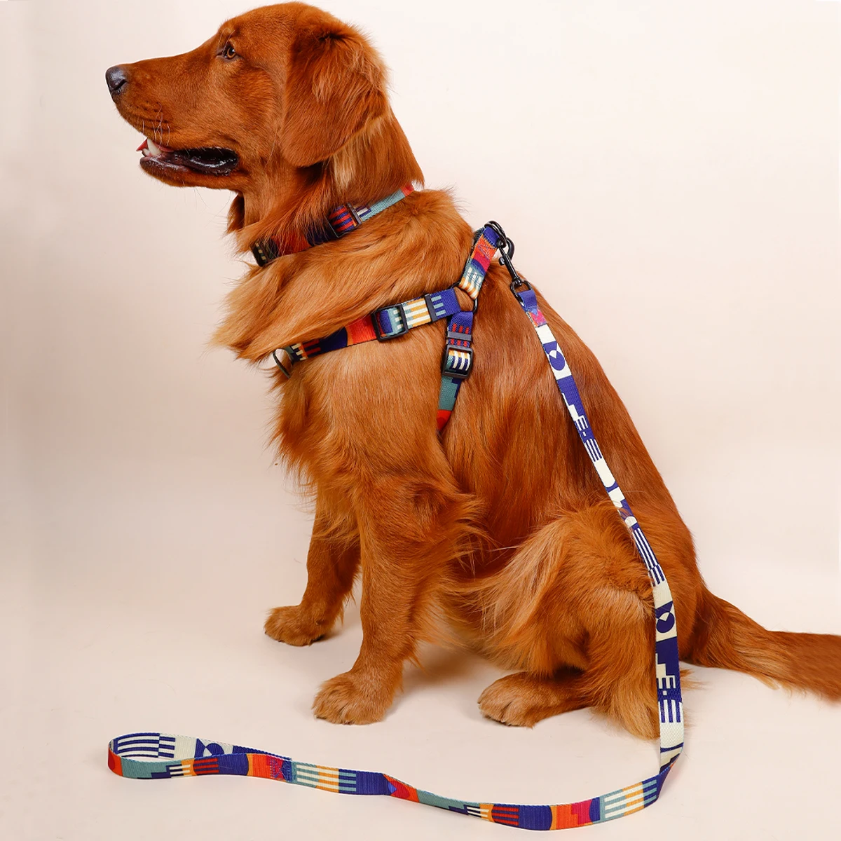 1PC abstract chest and harness three-piece set of geometric pattern multi-color splicing pet chest and harness collar with