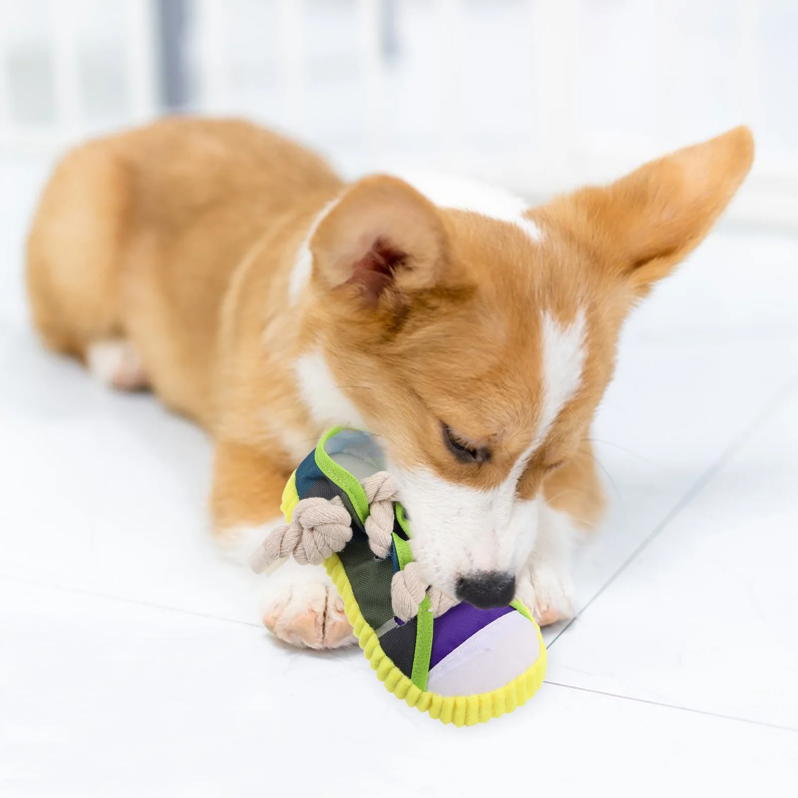 

Interactive Pet Chew Slipper Durable Cotton Rope Builtin Squeaker Stylish Design Teething Puppies Indoor Outdoor