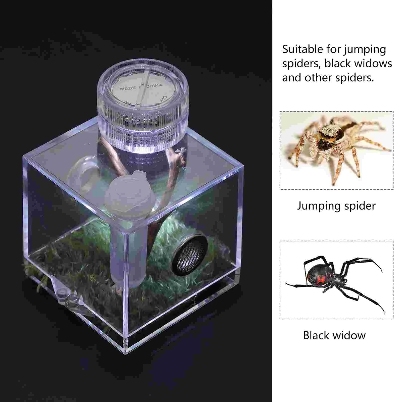 Jumping Spider Breeding Box Keeper Habitat Holder Animal Transparent Cage House Acrylic Carrier Feeding