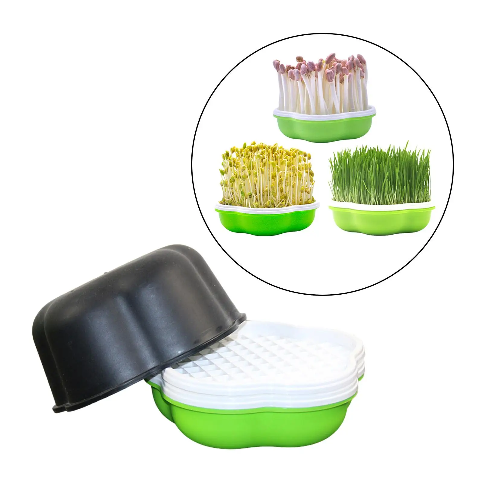 Tray Reusable Microgreens Growing Tray for Garden Grass Wheat