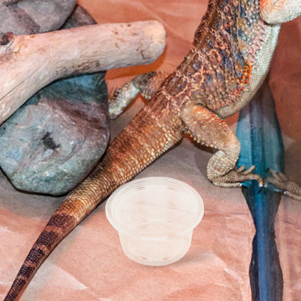 

30Pcs Reptile Bowl Set for Lizards Geckos Snakes Multi Purpose Food Water Dishes Safe Comfortable Design Ideal for Pet Owners