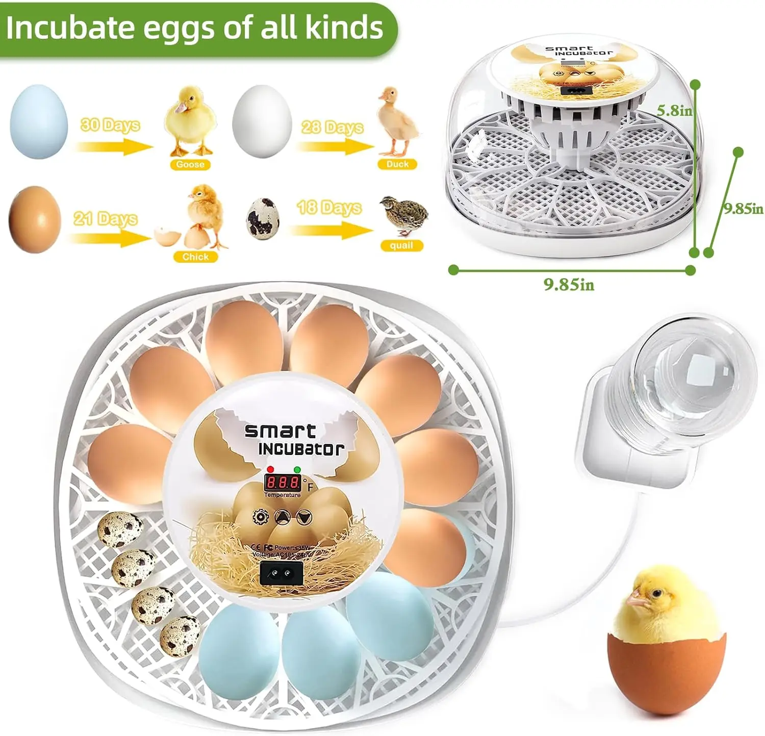 KLYM-Automatic Egg Incubators, 12 Egg Incubators, Temperature Control, Automatic Incubator, Hatches, Quails, Ducks Catchers