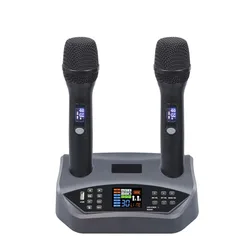 Professional UHF Wireless Microphone DSP Digtal USB Rechargable Handheld Microphone For Meeting Outdoor Microphone Stage Perform