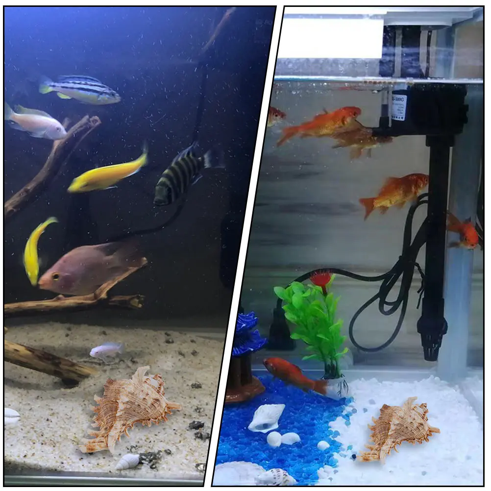 

2Pcs Natural Conch Shell Aquarium Landscape Ornaments Fish Tank Decoration Unique Fish Shelter Natural Aquarium Adornments