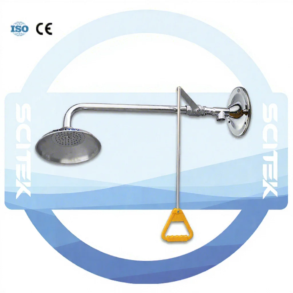 Wall-mounted Shower & Eye Wash Stainless Steel Eye and Face Washing & Showing