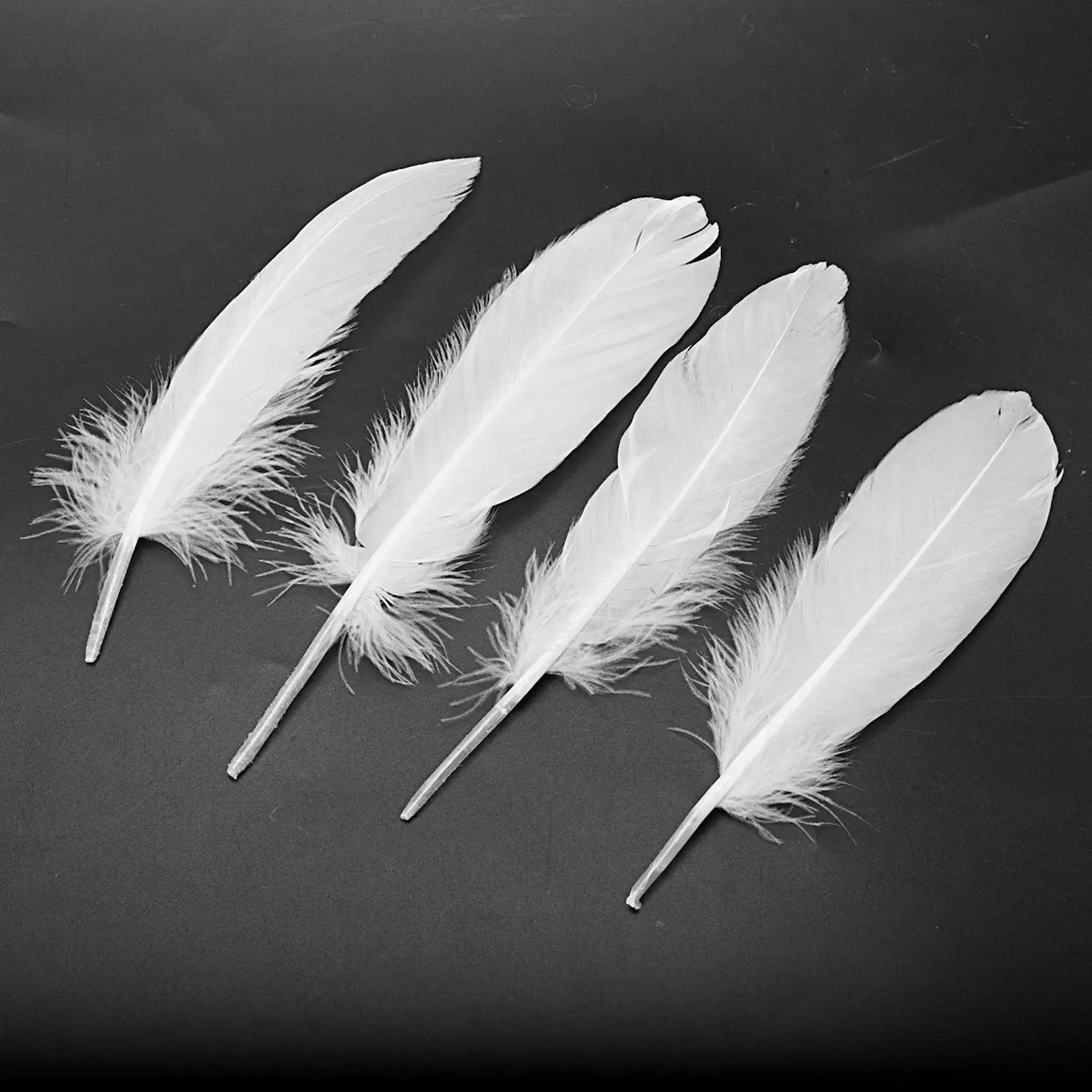 

BAAU 500Pcs White Feathers Goose Craft For Party Hat Crafts Wedding Decoration 15-22Cm
