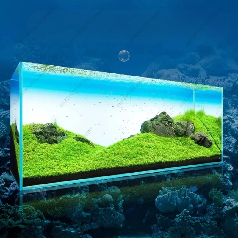Fish Tank Background Board LED - Aquarium Fish Rainbow review and price