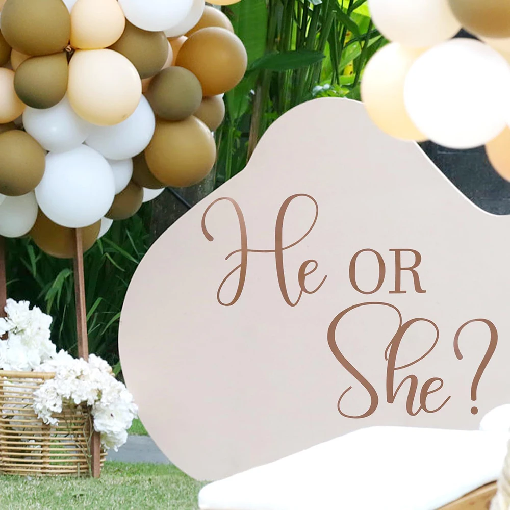 He or She Gender Reveal Decorations Wall Stickers , Boy or Girl Sign Gender Wall Decals for Balloon Arch Baby Shower Decoration