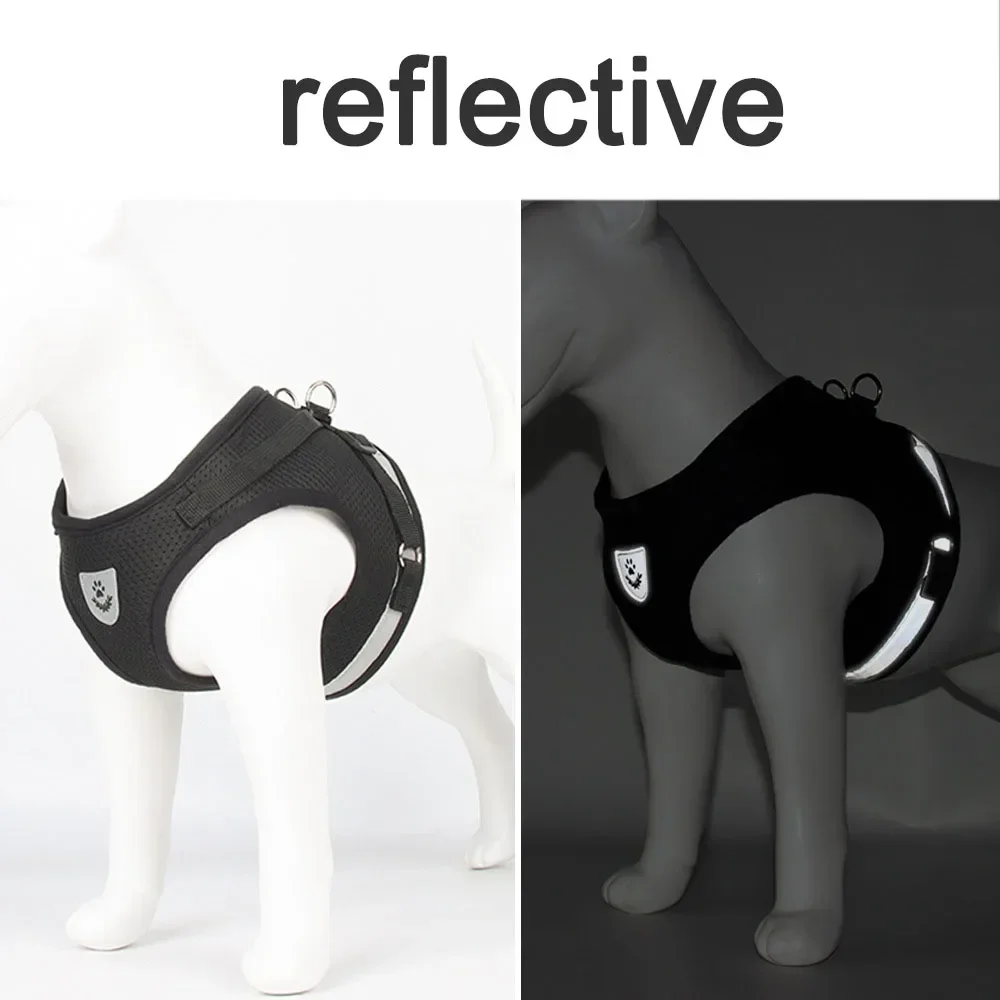 Thumbnail 4 - #25 Cheapest Puppy Harnesses Deals You Can Get