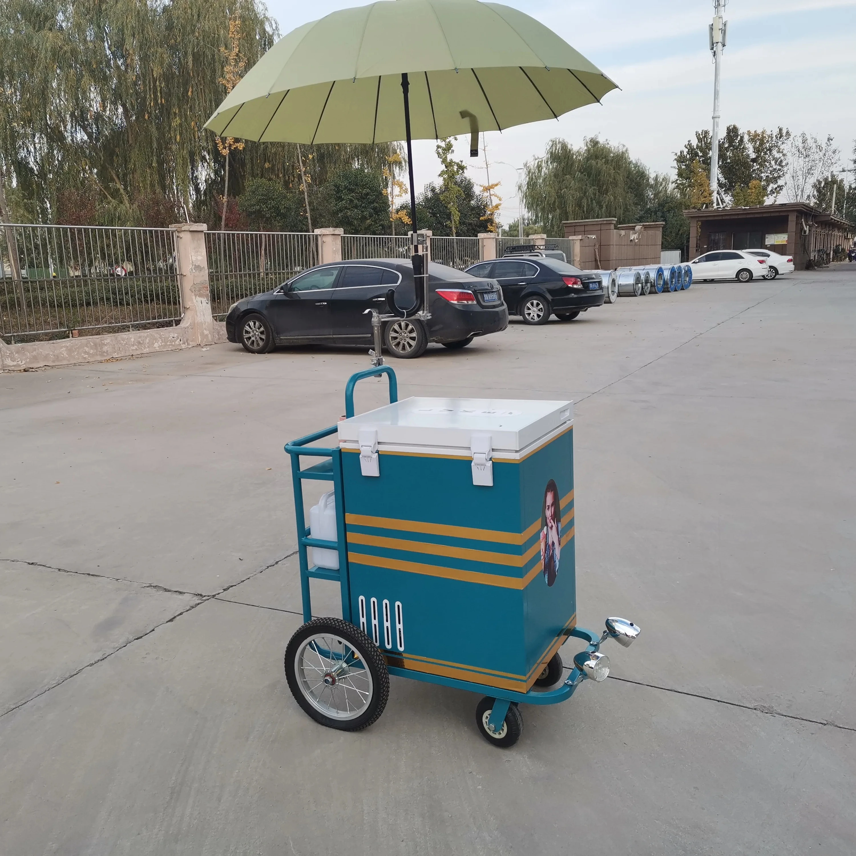 Street Vending Bike Cart Designed For Street Vendors