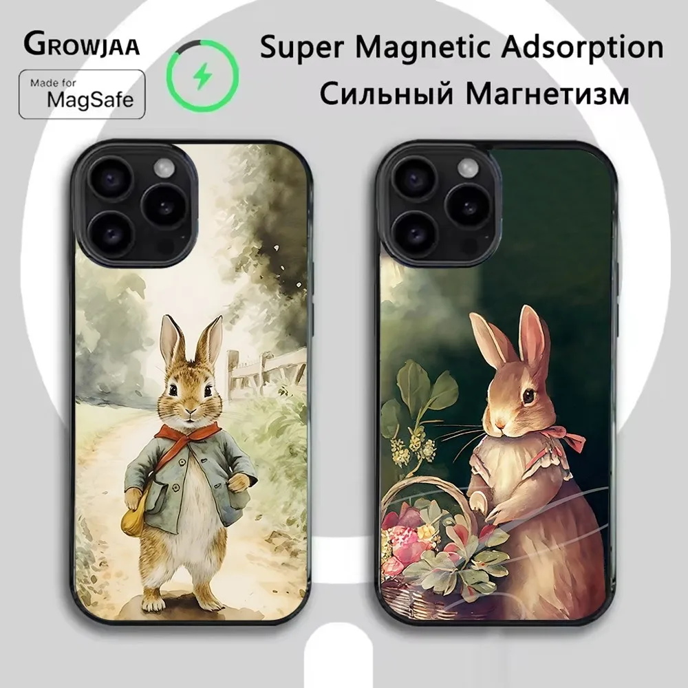 

Cute P-Peter Rabbit Phone Case For iPhone 16e,16,15,14,13,12,11,Plus,Pro,Max,Mini Magsafe Magnetic Wireless Charging