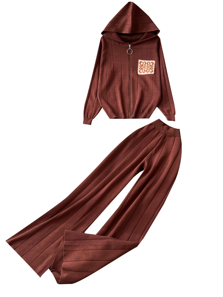 Coreano Sle Abbigliamento sportivo casual Set da due pezzi Donna Allentato Versatile Cerniera con cappuccio Lungo Sve Top lavorato a maglia Pantaloni a gamba larga