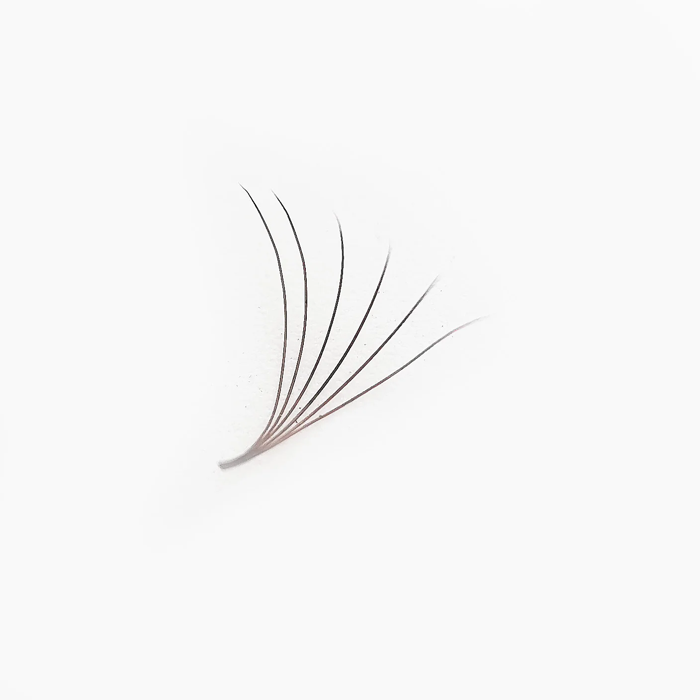 SupMacio Brown Vorgefertigte Fächer-Wimpernverlängerungen, 3D/5D/6D/8D/10D, dünne, spitze Basis, 500 Fächer, lose Promade-Volumen-Wimpern, Make-up, Cilio – Detail 3