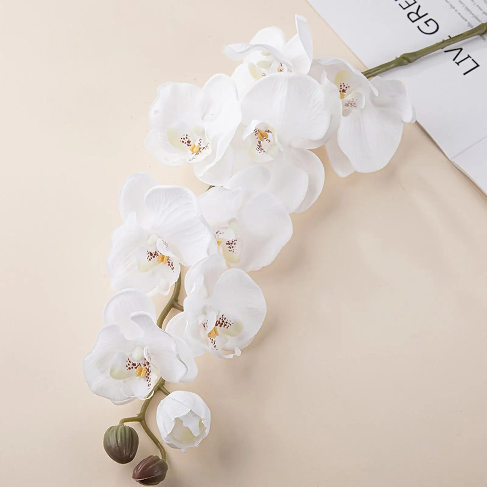 Large Flowers Wall Decorations The Hand Feeling Is Too Sticky To Wet The Big Phalaenopsis Wedding Wedding Arbors And Arches