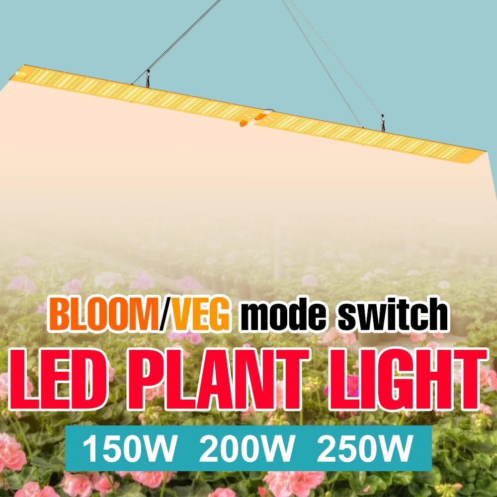 250w-フルスペクトル成長ライト-led-クォンタムボード水耕栽培植物用フィルランプ-uv-ir-温室野菜多肉植物栽培照明
