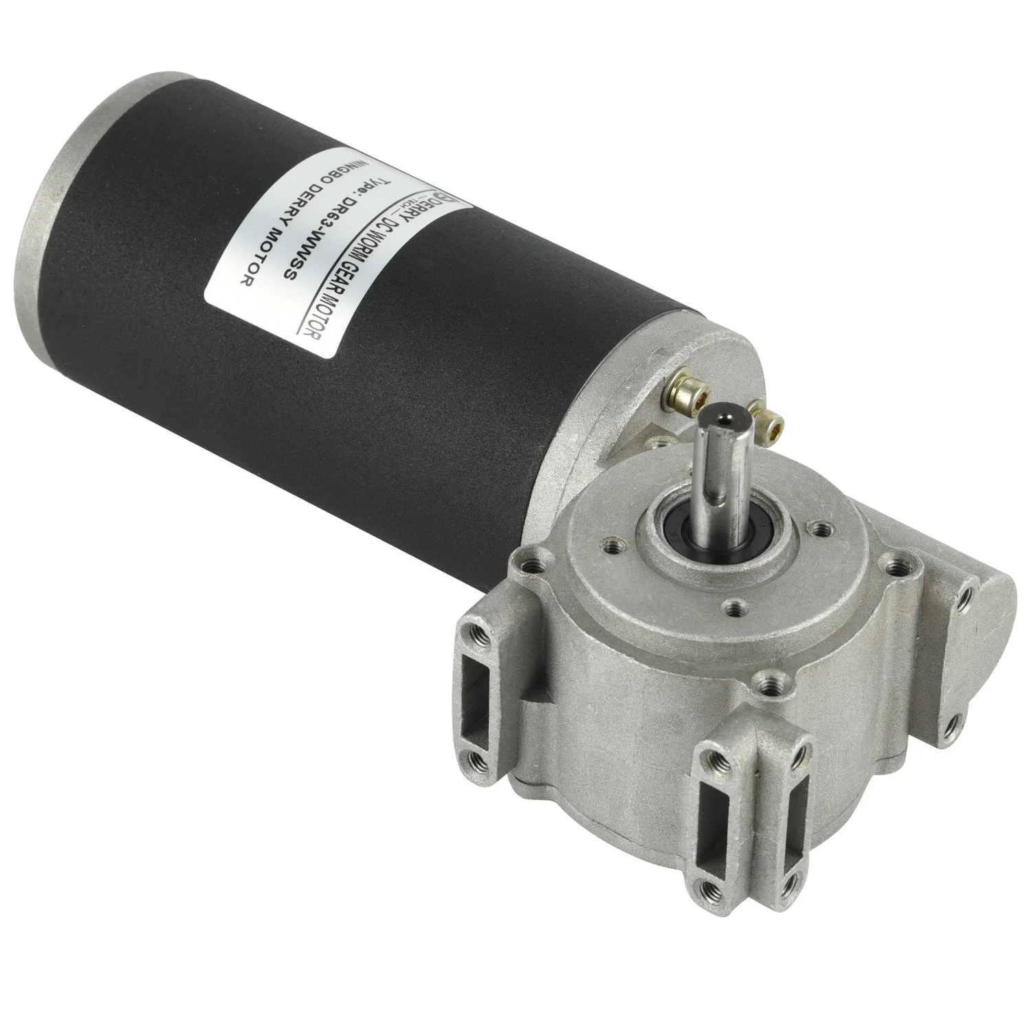12V 24v High Torque Door Opener DC Worm Gear Motor with Sliding Door Encoder