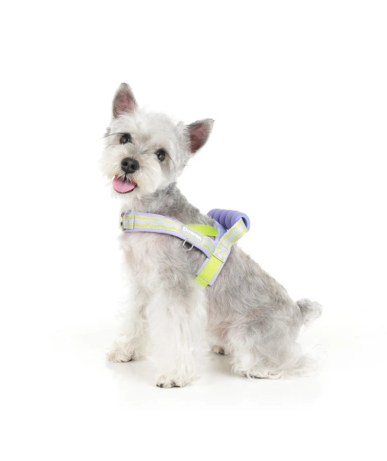 Comfortable Padded Dog Harness For Walking And Lifting Outdoor_voghion.com