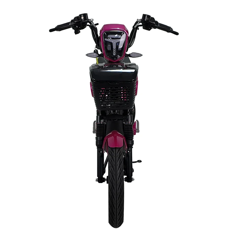 Electric Vehicle Brand New and High Quality 1200W 45km/h Electric Motorcycle Electric Bicycle image 2