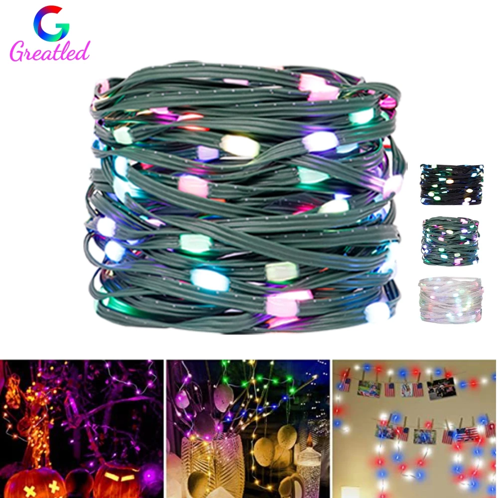 Guirlande lumineuse LED RGB WS2812B, couleur de rêve, pour noël et anniversaire, adressable individuellement, 10 diodes/m, cordon Flexible, étanche IP67