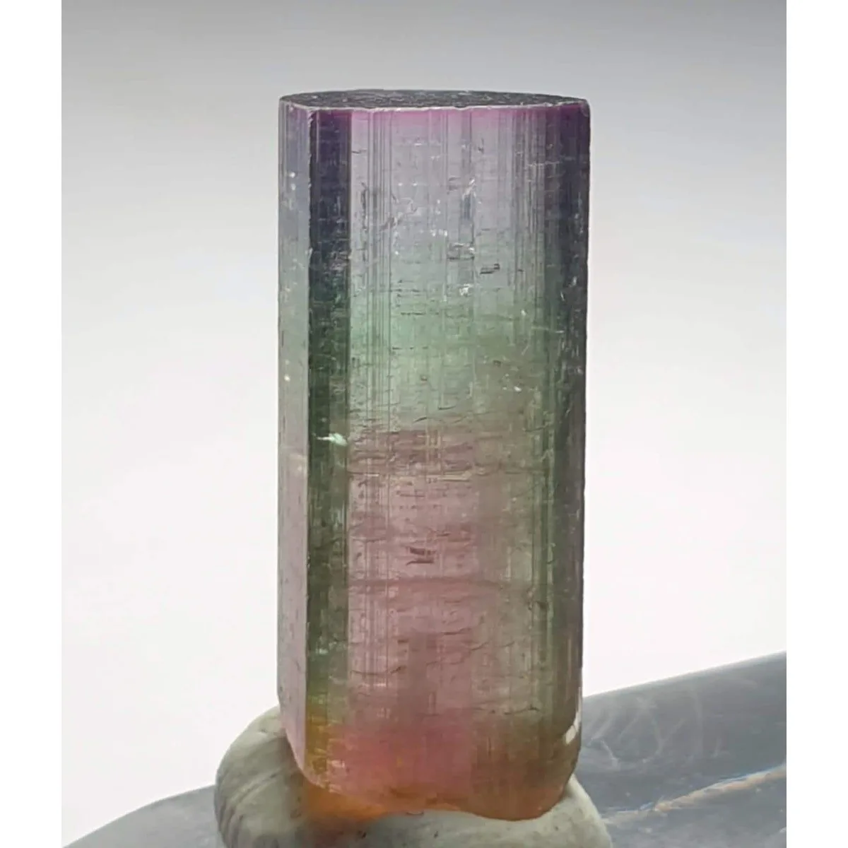 Brazilian Elbaite Rough Stones, 10g 5-15mm Mixed Colors, Display Box for Living Room Decor & Stone Collection