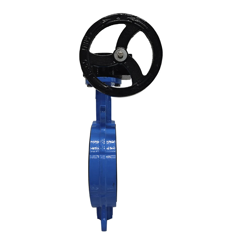 Customizable Cast Iron Manual Soft Seal Butterfly Valve with Turbine Clamp for Water Media Applications