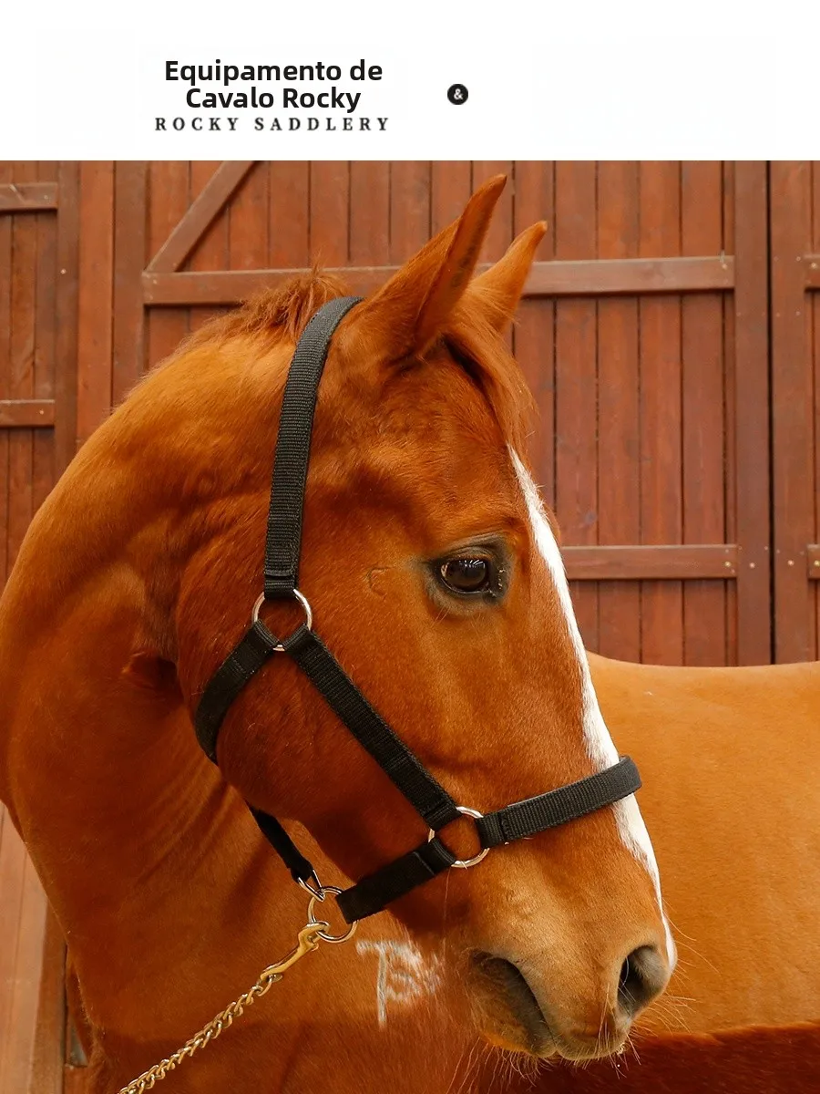 cavassion-クラシック織りロープ馬用ビット耐摩耗性耐久性のある乗馬用具トレーニングリードロープ乗馬用