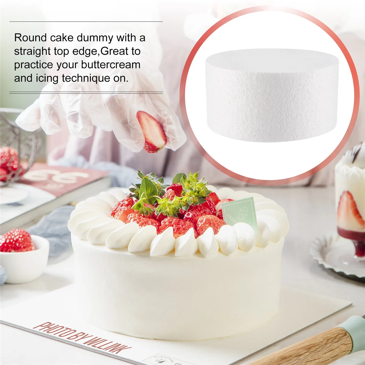 Round Cake Dummy (6 inch)