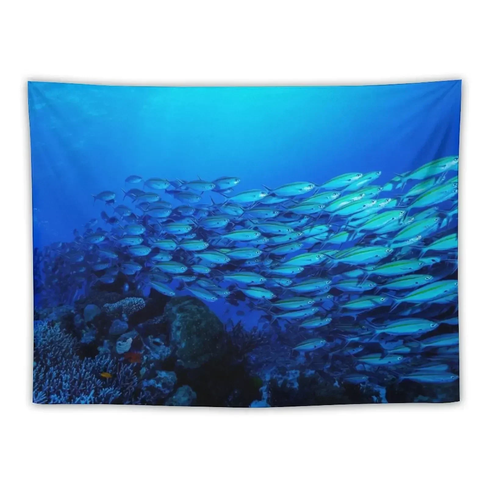 

Tropical Fish on the Great Barrier Reef Tapestry Aesthetics For Room Decoration Bedroom Wall Decoration Tapestry