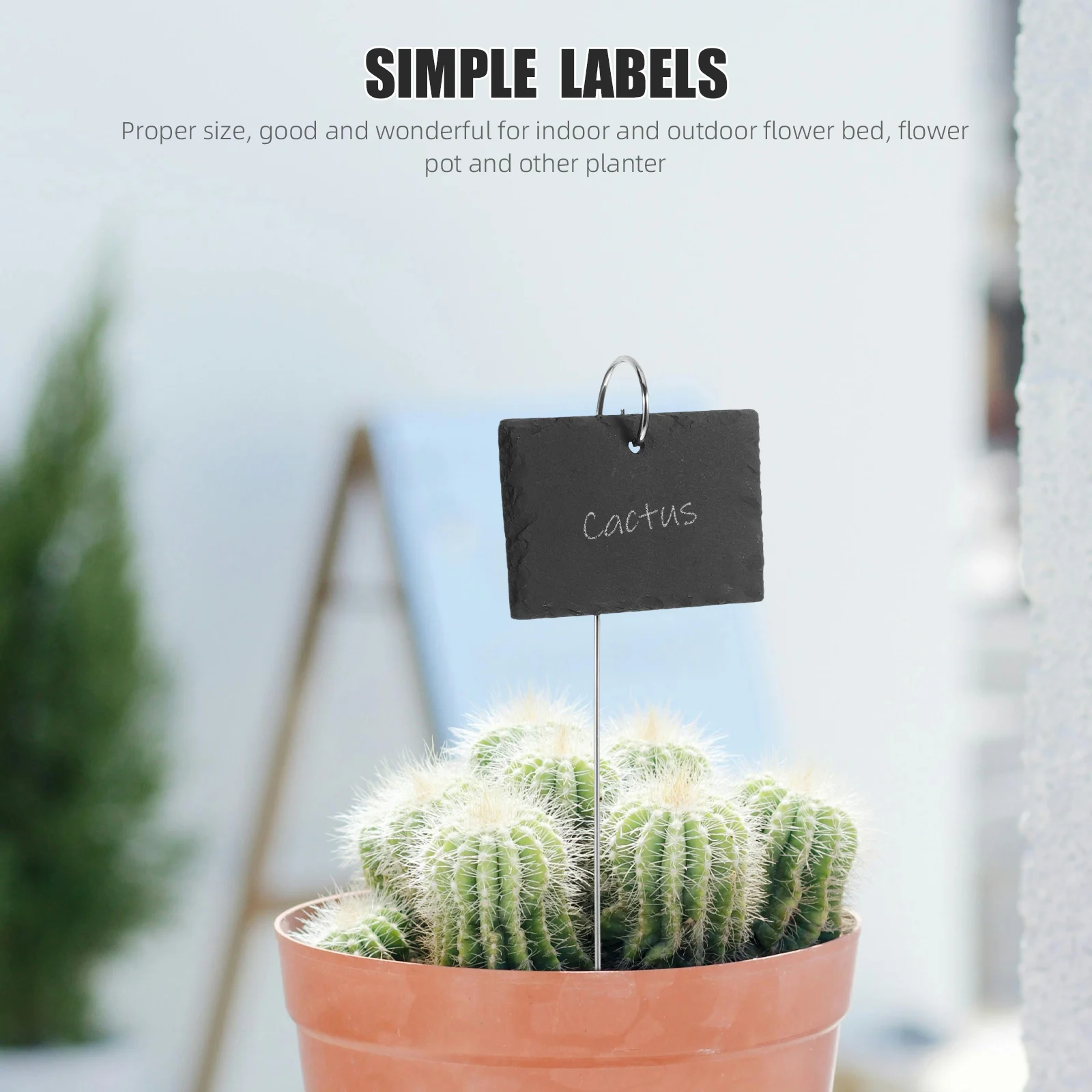

5pcs Stainless Plant Labels Durable Garden Markers Garden Plant Tag for Flower Bed Pot Tall Plants Waterproof Outdoor