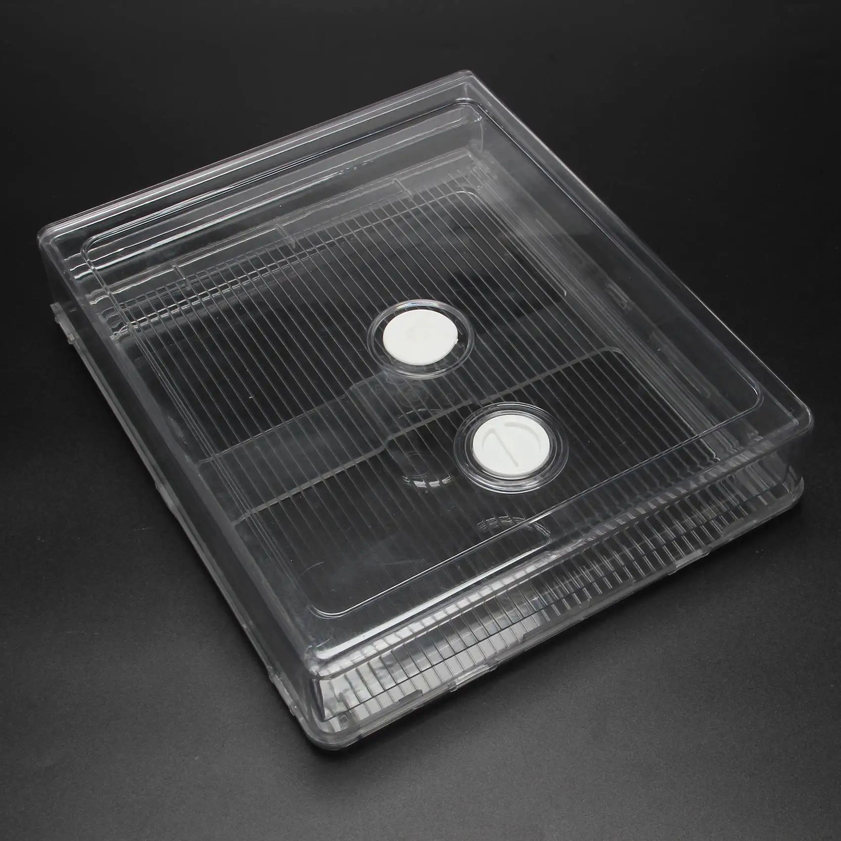 

Highly Recommended.Refrigerator Dumplings Box Tray with Lid Stackable Timekeeping Freeze