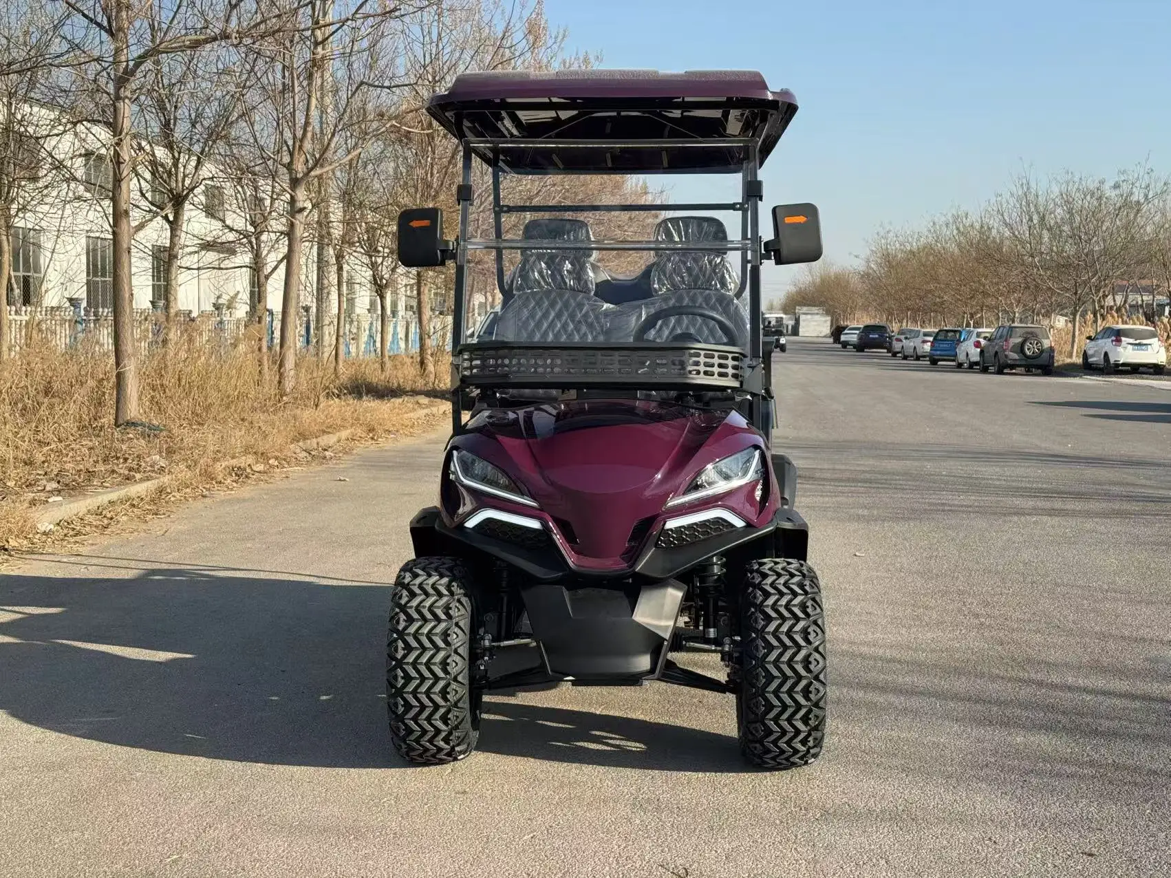 2/4/6/8 مقاعد الصيد عربة جولف الكهربائية على الطرق الوعرة عربات الغولف سيارة عربات التي تجرها الدواب سكوتر الغولف #5