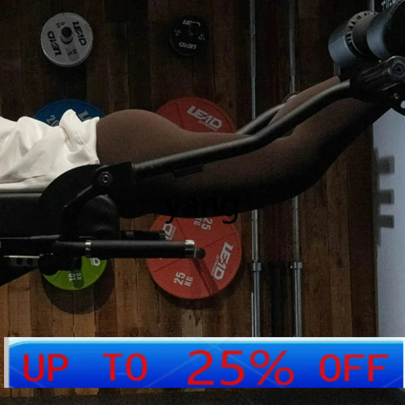 

LMM Hip and Leg Comprehensive Trainer Back Hyperextension