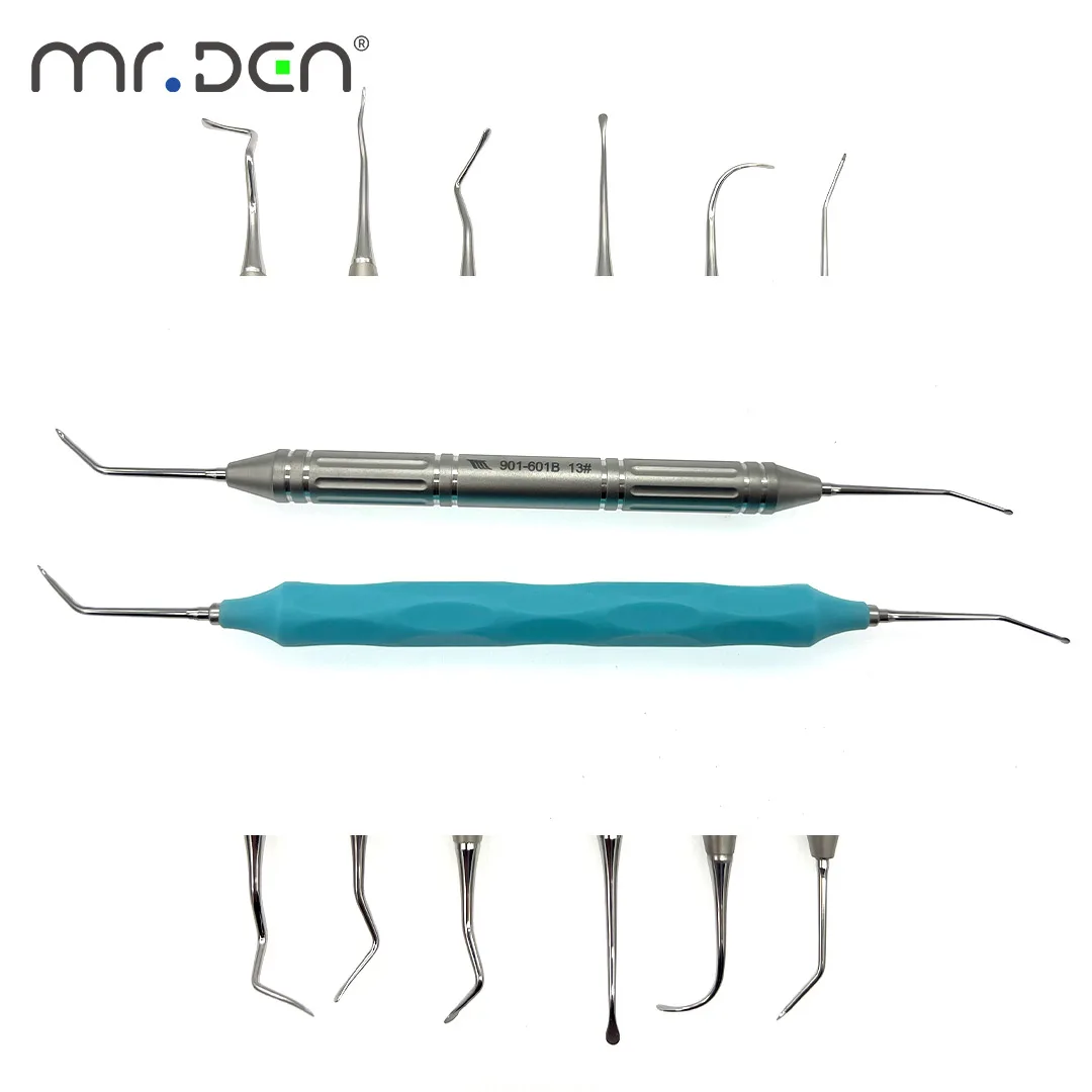Professional Dental Gingival Dissector Flap Instrument High-Temp Resin Handle & Stainless Steel Periodontal Surgery Tool