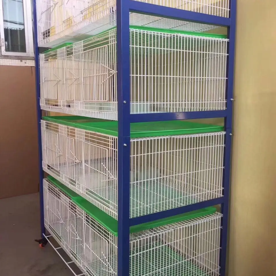High-end Iron Frame Large Cage with Plastic Tray for Racing Pigeons Pigeon Loft Modern Design