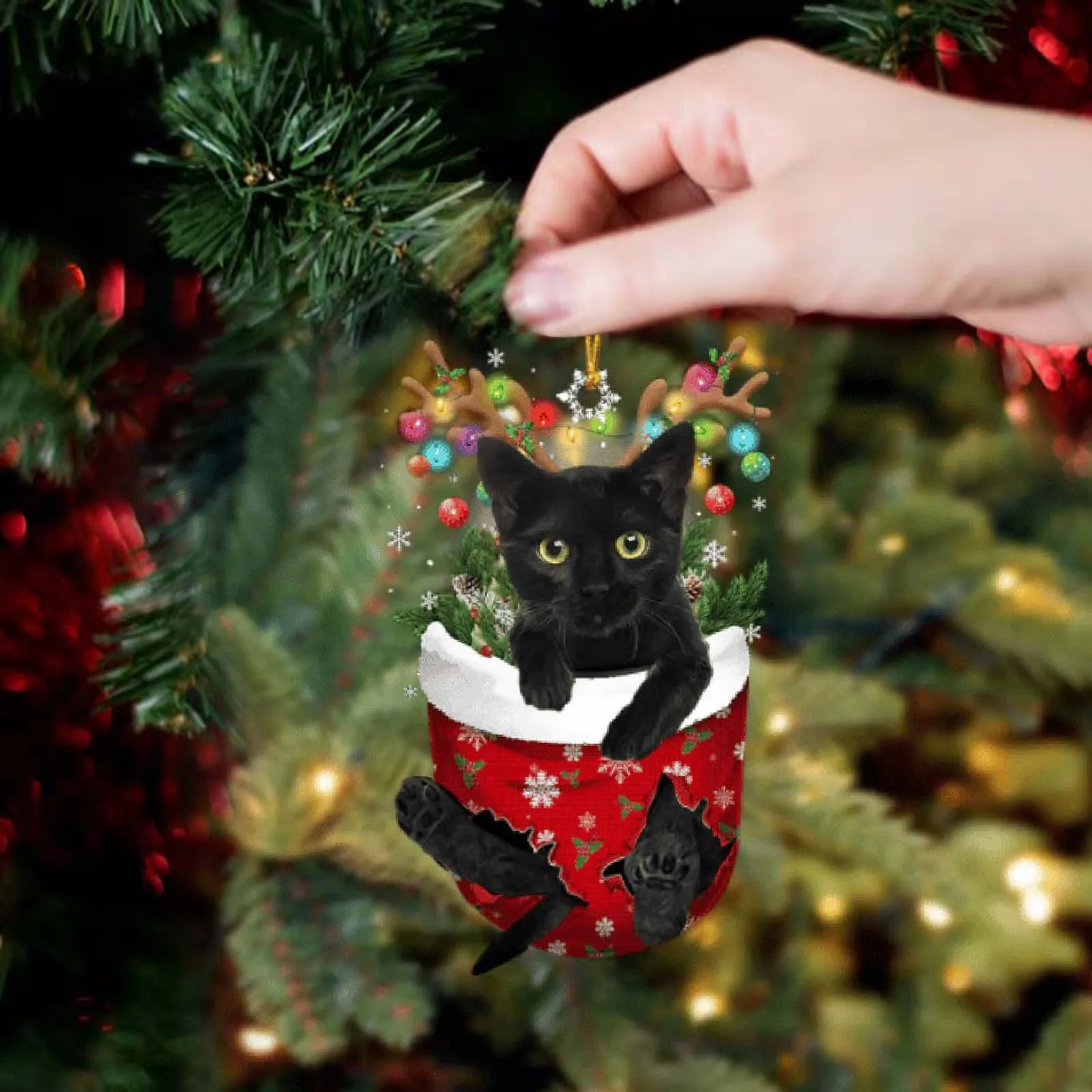 Acrílico Cat Stocking Christmas Tree Ornamento, Hangings Porta, Meias, Xmas Presentes para Pet Lovers, Ornamento