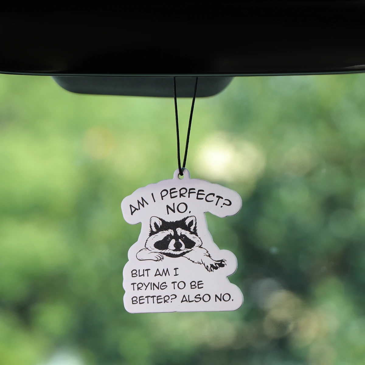 Globefish Fragrant Paper Raccoon Car Cupboard Bedroom Air Freshener Cartoon Animals Hangings Solid Perfume Home Decoration Gifts
