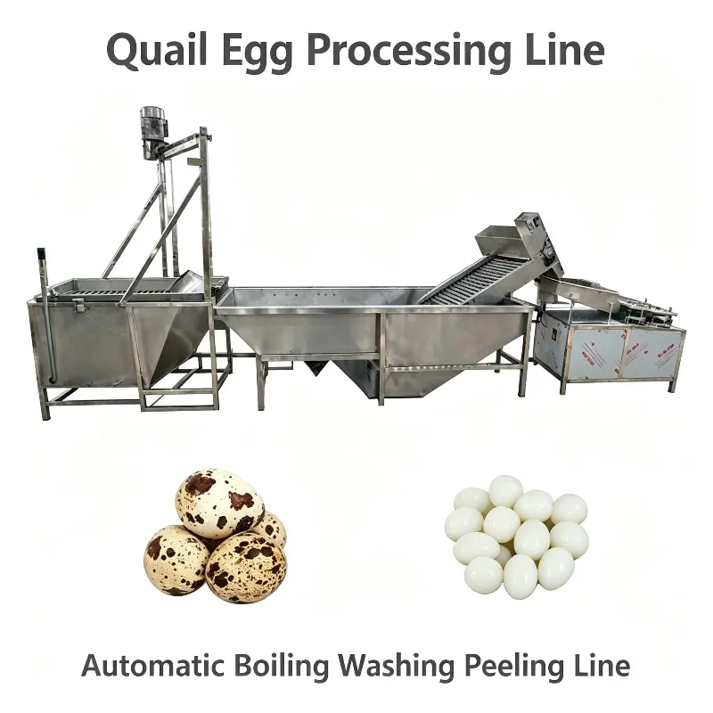 Egg Printing Packing Machine Quail Egg Boiling and Peeling Line Egg Yolk Powder Production Line FL Customized