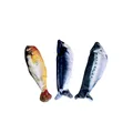 Three pack