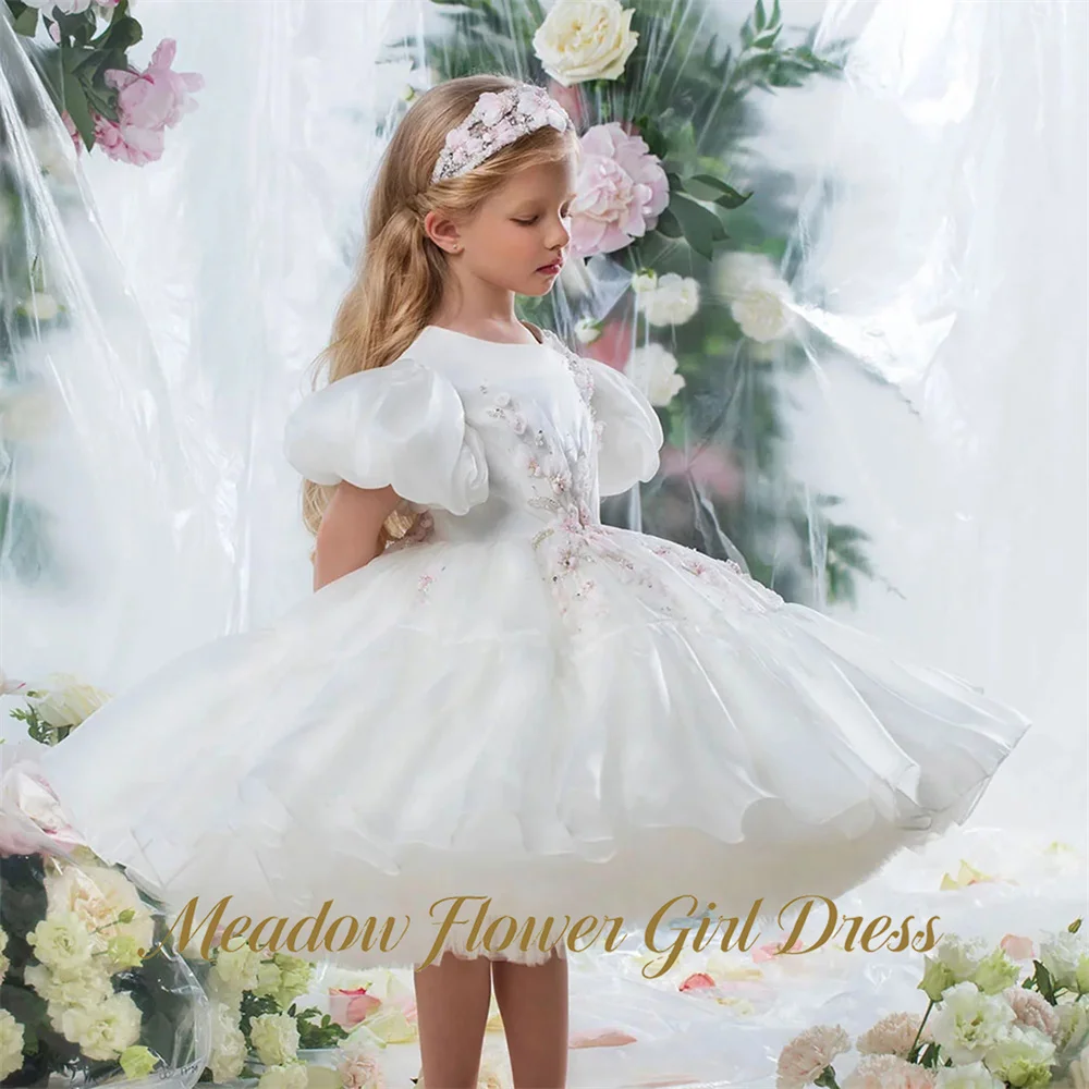 Meadow White Organza Flower Girl Dresses O Neck Short Sleeve Ball Gown Party Tutu Dress with 3D Flowers Pageant Dress for Girl