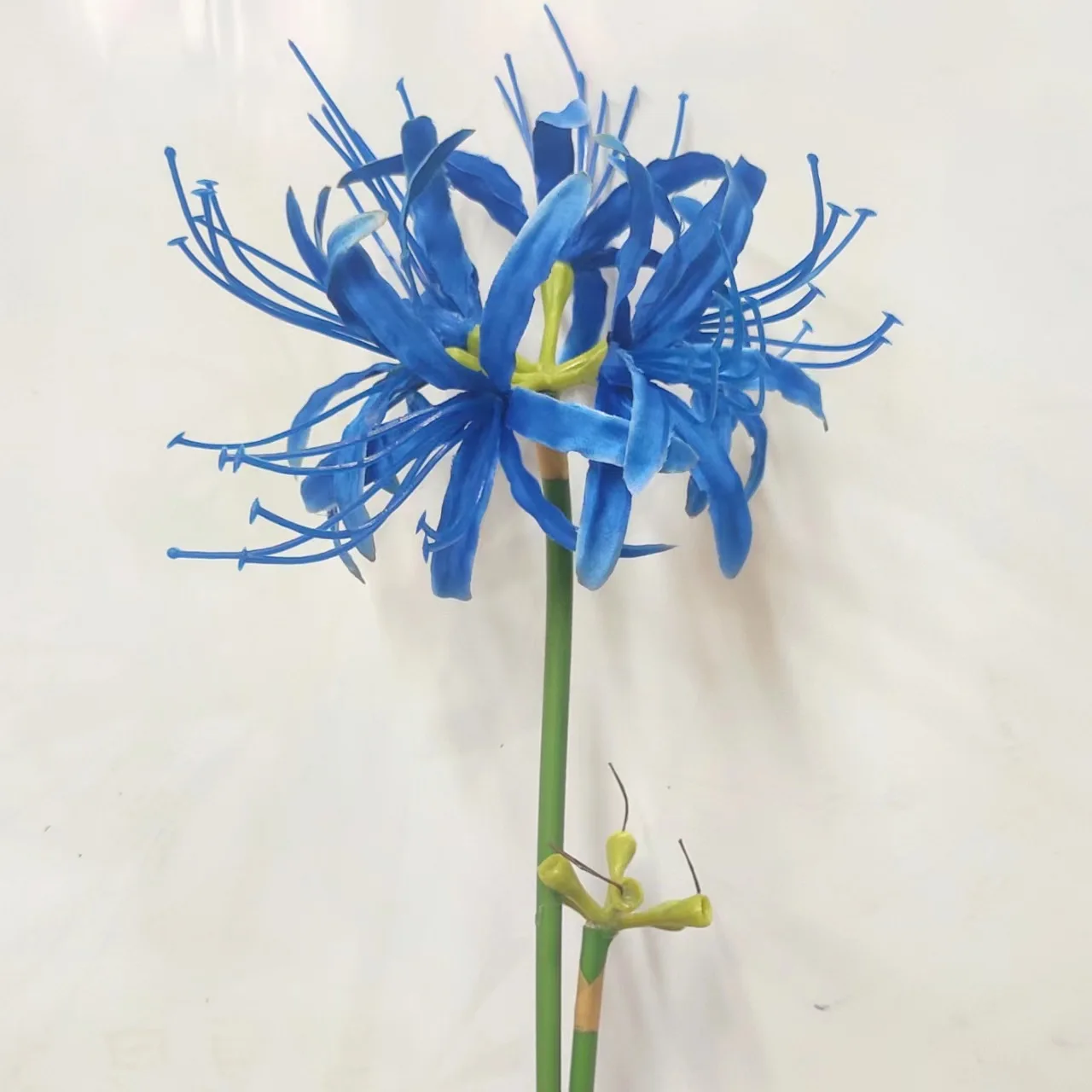 Aqumotic Artificial Red Spider Lily Bulbs 60cm 5pcs Lycorisradiata  Majusaka Decorative Vase Red Spider Lilies Flowers - AliExpress 15