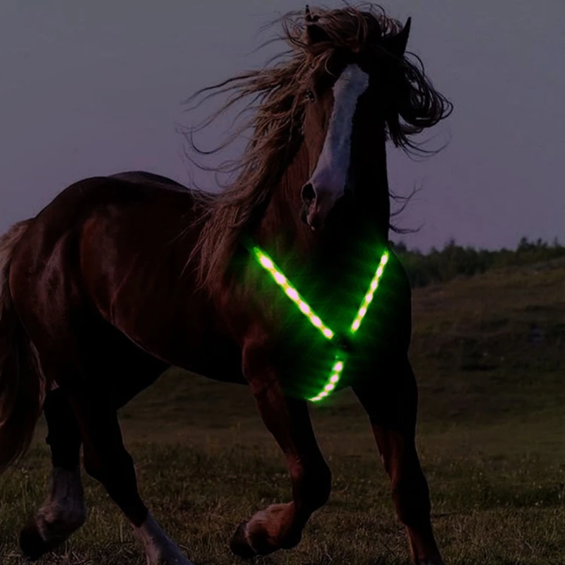 

2021 New Horse Webbing Harness Collar Breastplate Adjustable Night Visible LED Light Chest Belt Safe Riding