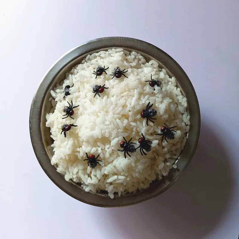 5/10pcs Biomimetic Insects Simulation Bug Spider Centipede Scorpion Cockroach Plastic Prank Bug Funny Scary Trick Props