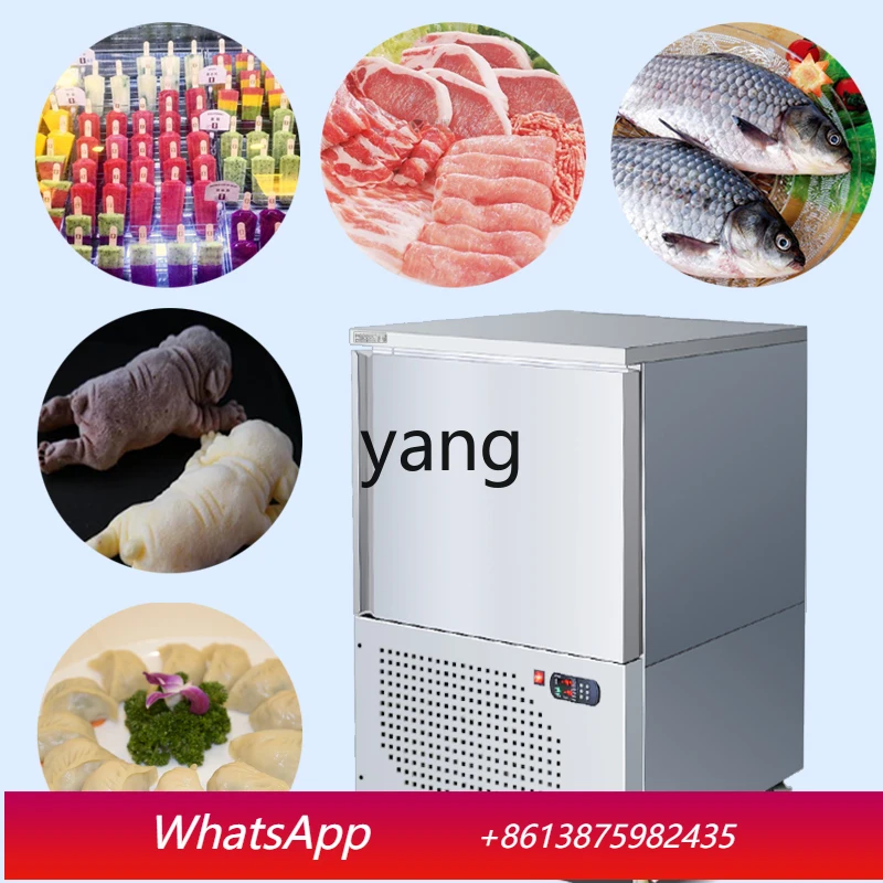 

Коммерческий морозильный шкаф Lm для быстрой заморозки мороженого, морепродуктов, пельменей, для ресторанов и кафе, с функцией низкотемпературной заморозки и приготовления горячих блюд