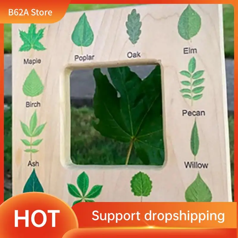 

B62A Nature Guide Finder Деревянная ручная игрушка для малышей Двусторонняя доска Уличное растение Дети Прочный Простота в использовании -A