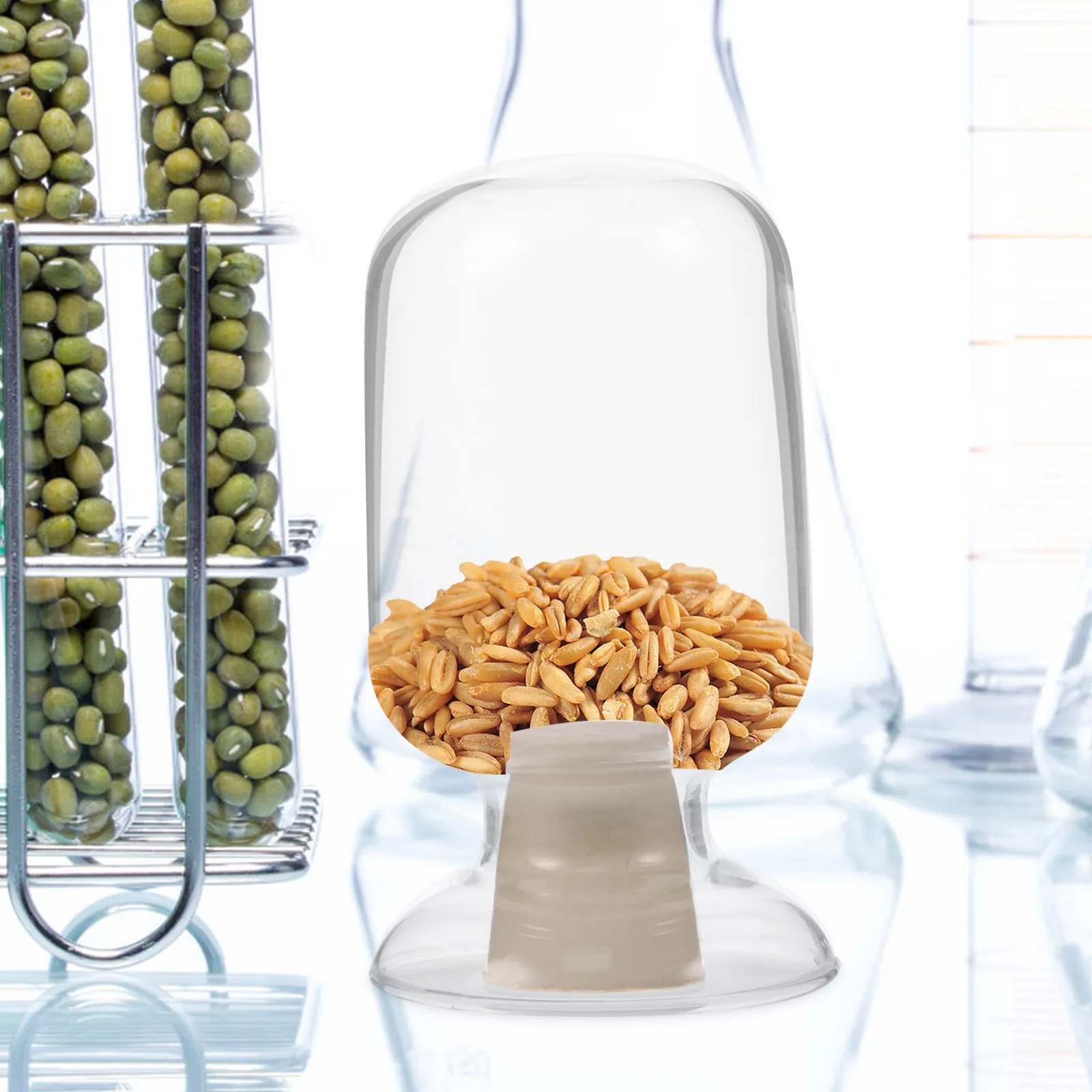 

Bottle with Stopper Glass Containers Bottles Lids Stoppers Jars Empty Clear Vial