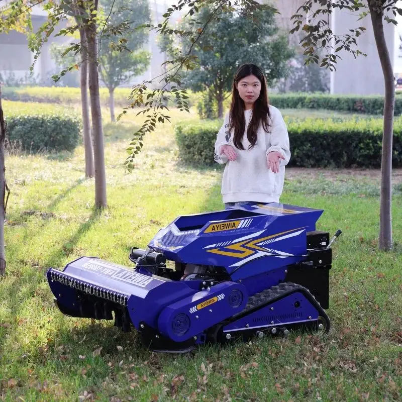 

Customized CE EPA Factory Direct High-Precision Remote Control Crawler Lawn Mower Brushless Motor Sweeper
