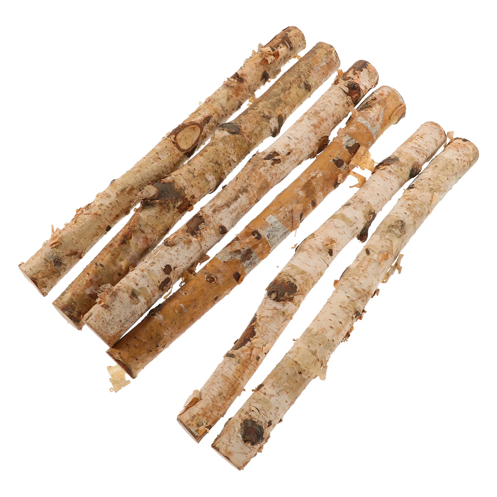 6 Pcs Birch Sticks Natural Twigs Wood Log Accessories Crafting Accessory Wooden Crafts for DIY