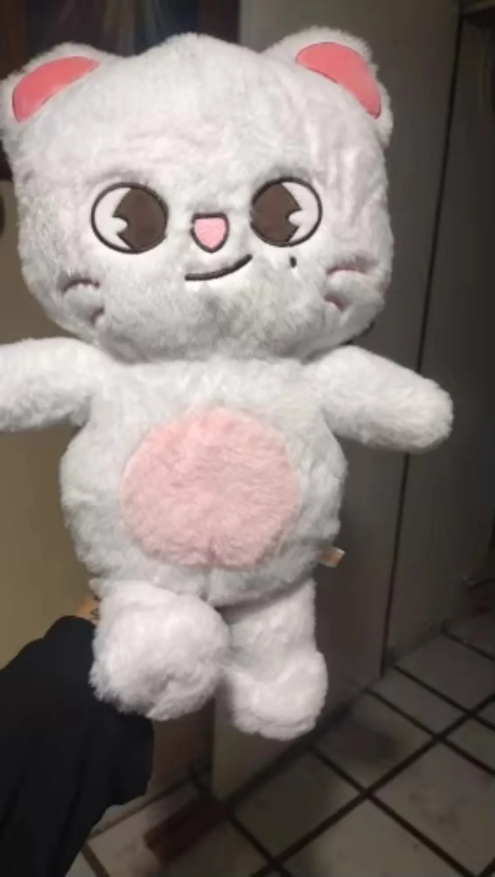 23-50cm Kpop Skzoo Stray Kids Plush Toy Kawaii Cartoon Stuffed Animal Plushie Doll Large Size Kids Babies Sleeping Pillow Gift